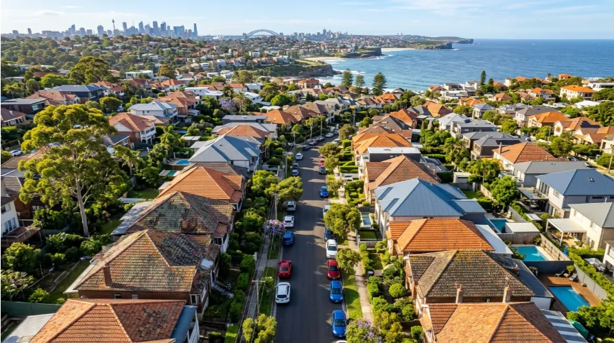 Aerial view of Sydney Eastern Suburbs residential roofs showing moss growth before roof cleaning and moss removal