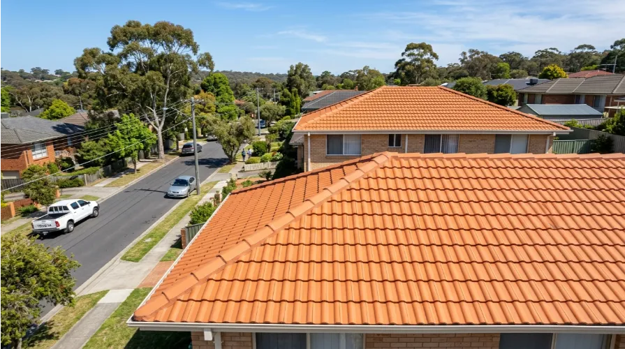 Clean terracotta tile roof after professional moss and lichen removal treatment by All Your Roofing Needs