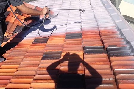 Roof painting